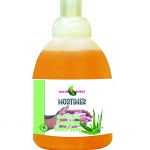 Aloe Enriched Foaming Hand Soap (Nature Friendly) - 16oz